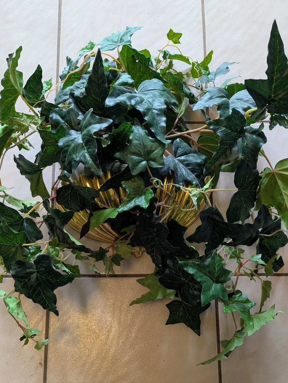 SYROCO Gold Decorative Wall Shell Pocket Shelf Includes Artificial Ivy 1962 VTG